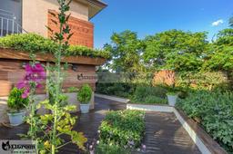 راهنمای انتخاب گیاهان روف گاردن یا بام سبز