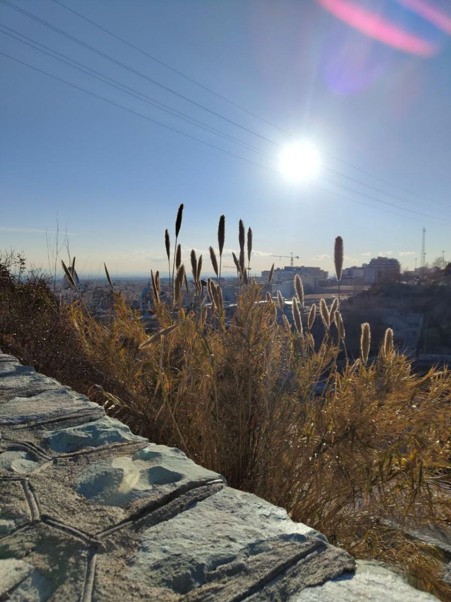 پیاده روی بوستان نهج البلاغه