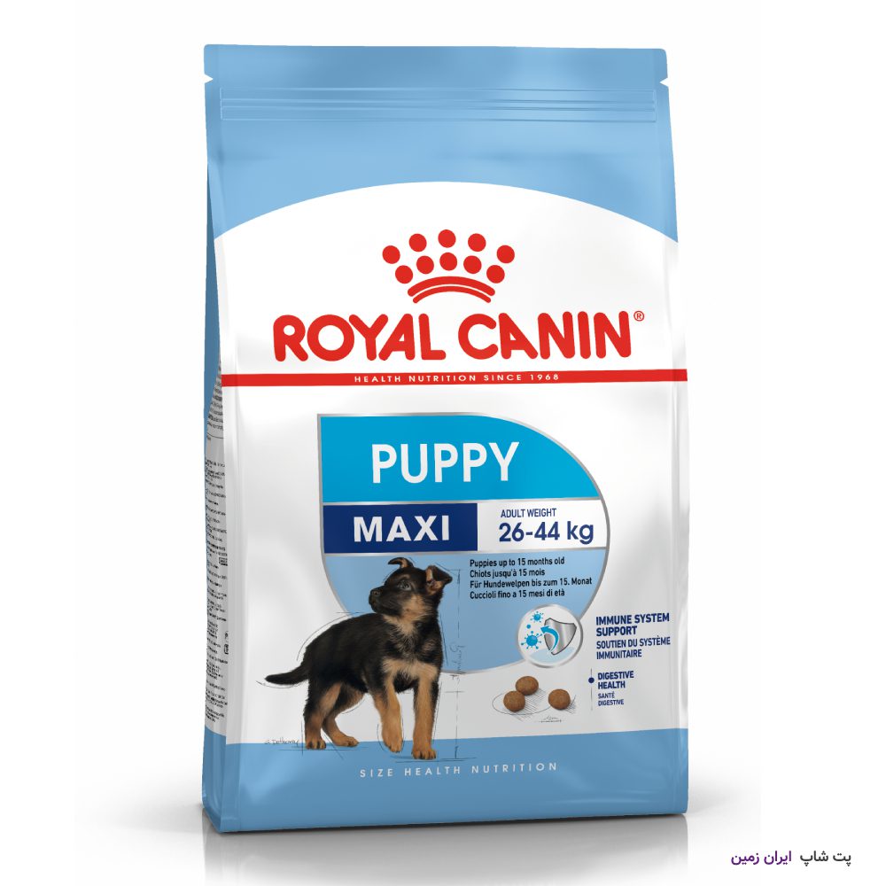 غذای خشک سگ رویال کنین Maxi Puppy: بهترین انتخاب برای توله‌سگ‌های نژاد بزرگ 