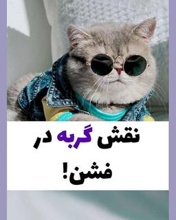 نقش گربه ها در فشن :)