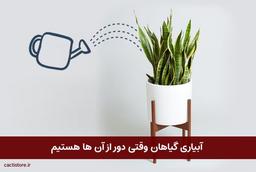 آبیاری گیاه ها وقتی از اون ها دور هستیم!