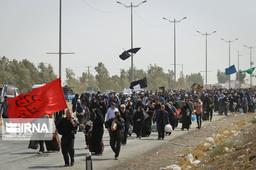 این درخت خواهد بالید