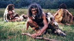 دوشنبه‌های برگی (خاطرات یک دختر غارنشین)