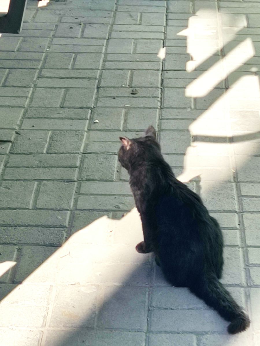 یه هفته ی جالب