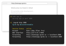 چگونه localhost خودمون رو به اشتراک بزاریم؟