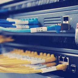 اهمیت شبکه در امنیت چیست؟