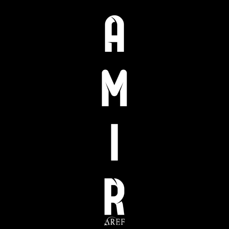 Amir Aref - ویرگول