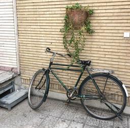 دوچرخه سواری ، سبک جدید زندگی من