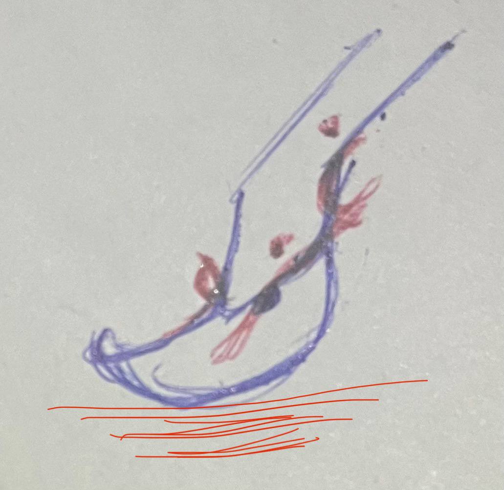برداشت دو سوی ماجرا از یک تصویر: قایق کمک به غزه یا کفش کمک: له کننده غزه