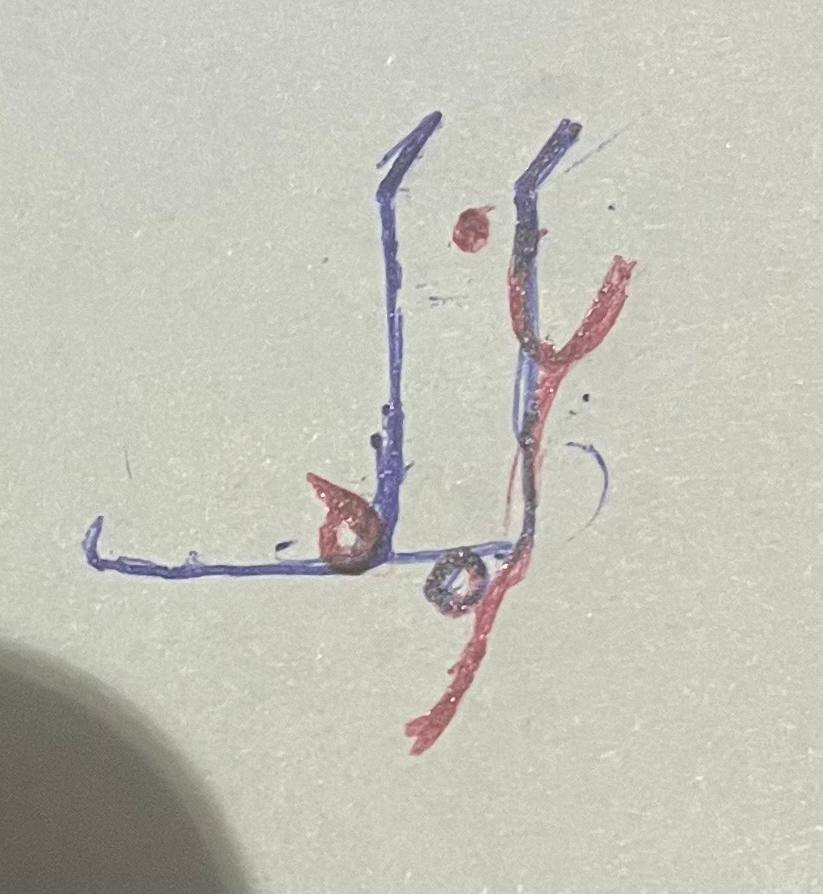 غزه کمک: آیا آدمهایی در آن مشاهده میکنید؟