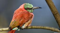 چند توصیه خواندنی