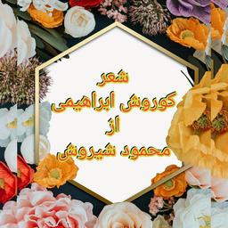 شعر کوروش ابراهیمی