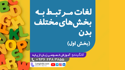 لغات مرتبط به بخش های مختلف بدن در زبان انگلیسی (سطح یک) - لغات انگلیسی درس اول 🟩