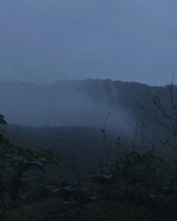 مطمئنم هیچکس یادش نیست