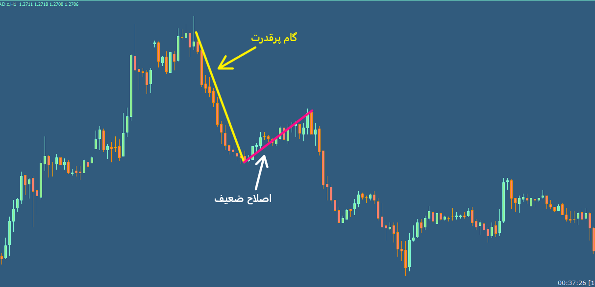 تصویر شماره 4