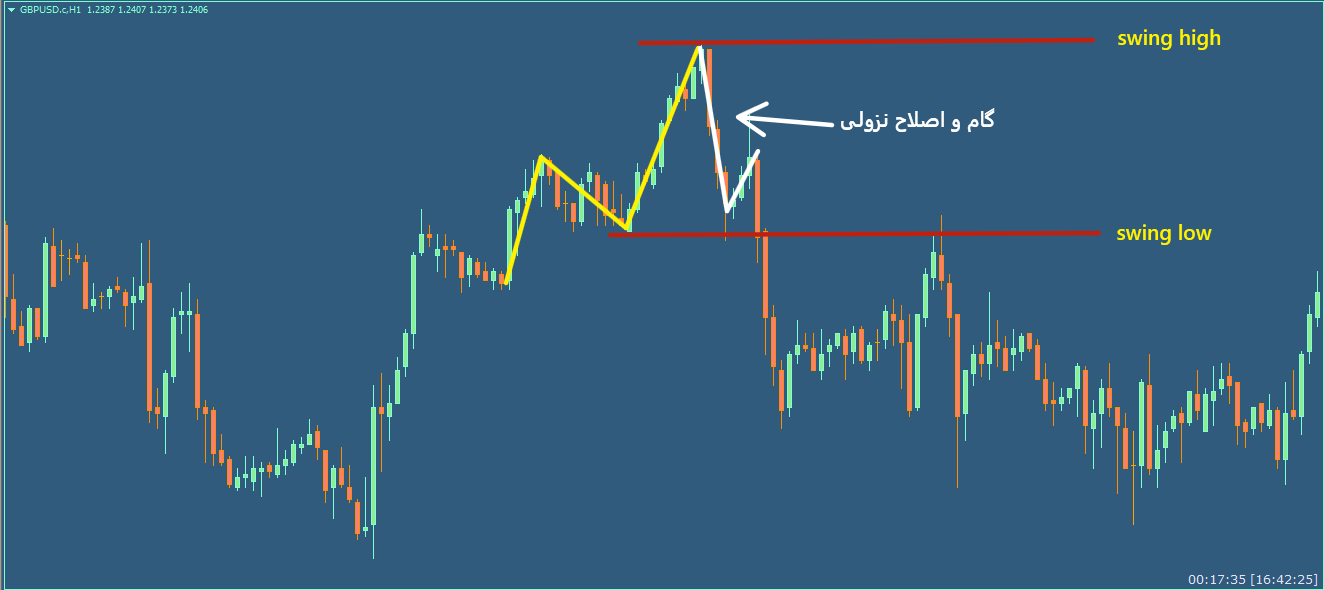 تصویر شماره 4