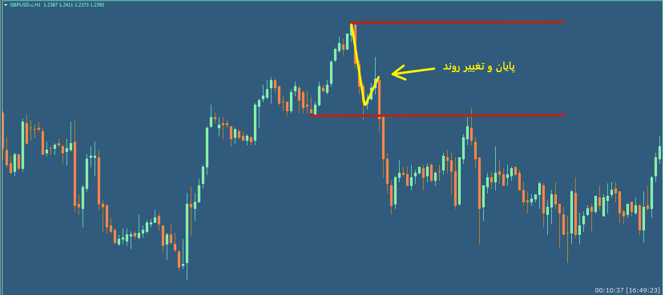 تصویر شماره 5
