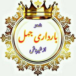 بارداری جهل از محمود شیروش