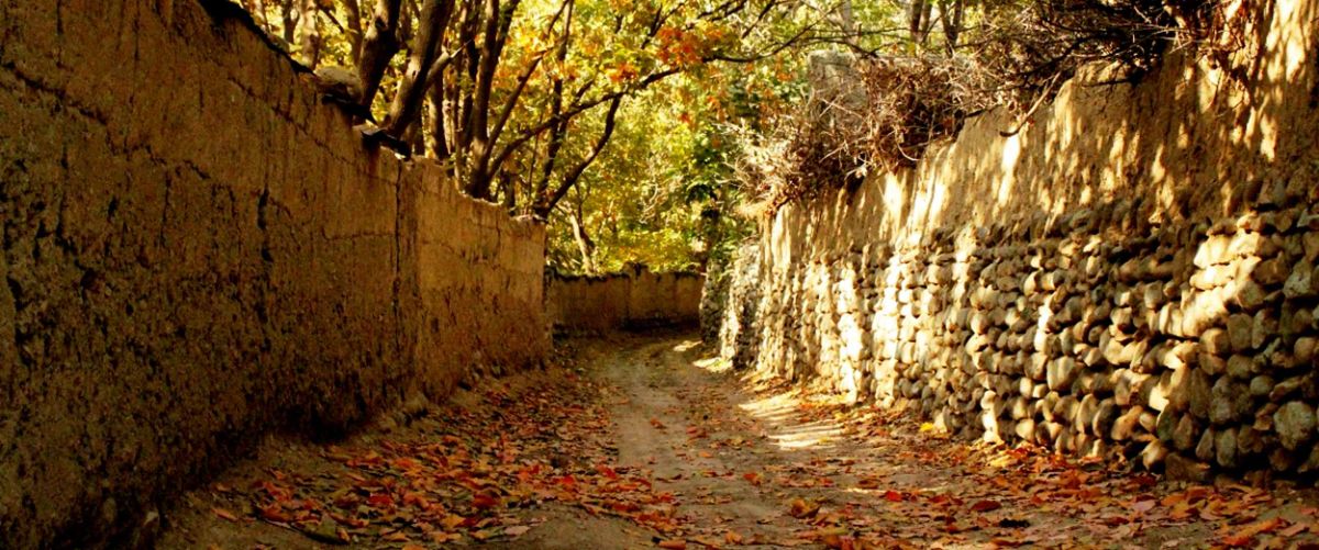 کوچه پسکوچههای پاییزی