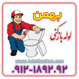 بیرون آوردن اشیا از چاه توالت