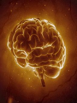 کارکرد ذهن ناخودآگاه چیست؟ - روان پنهان