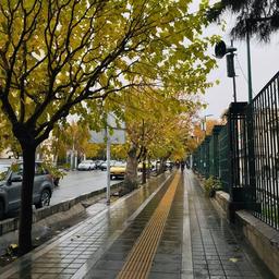 روحم هنوز تو خیابون 16 آذر پرسه میزنه