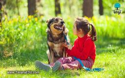 دوست واقعی چه کسی است؟ | جملات ساده و زیبا در مورد رفیق و دوستان واقعی