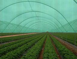 توری سایبان 30 درصد