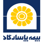 میثم صداقت-بیمه پاسارگاد