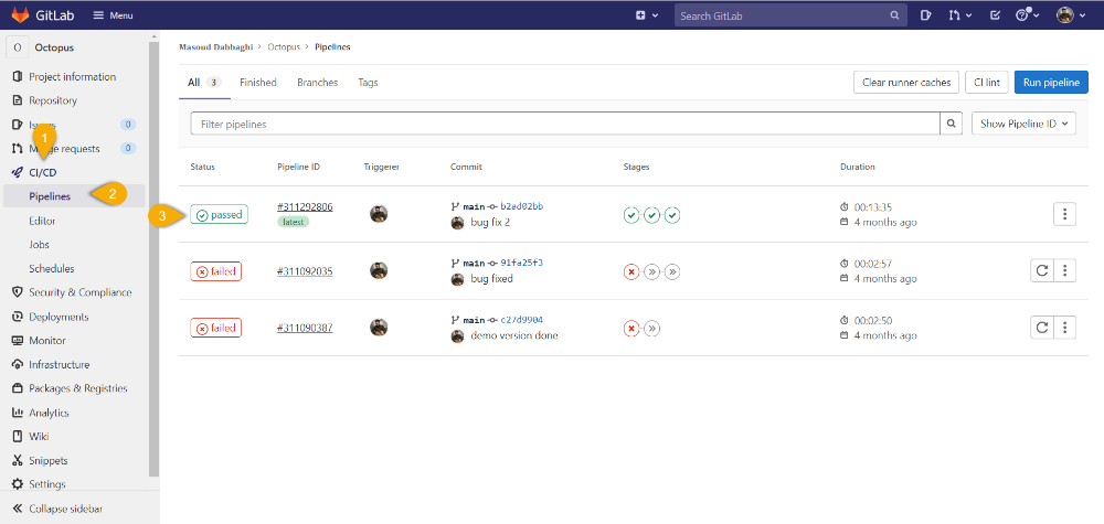 CI/CD Pipelines 