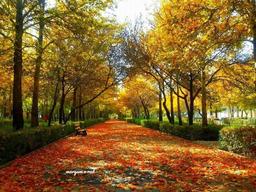 یک روز آفتابی