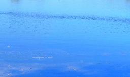 خرده خاطرات