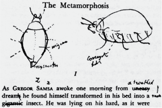 شکل 5-2: نقاشی ولادیمیر ناباکوف از گرگور سامسا از رمان مسخ کافکا.