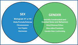 جستاری درباب جنسیت(1)