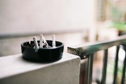 امّا، دروغ چرا؟