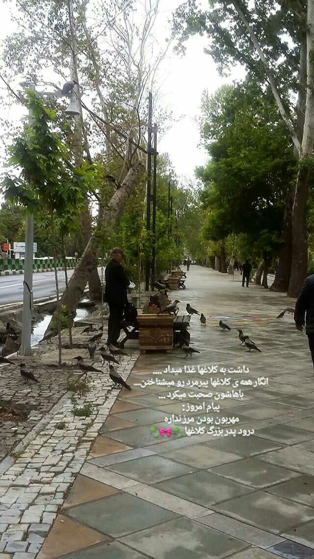 یک عاشقانه ی