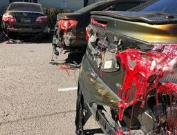 عجیب اما واقعی