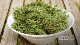 همه آنچه که در مورد آویشن باید بدانید؛ از کاشت تا مصرف آویشن