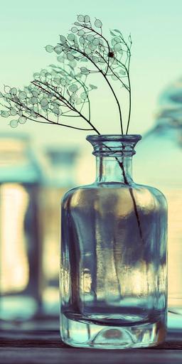 #شاگرد_کنجکاو_زندگی🌱