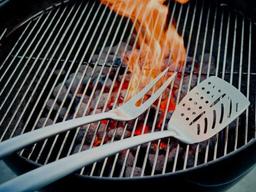 خرید انواع کباب پز