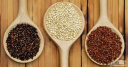 کینوا چیست؟ یکی از سالم ترین غذاهای جهان!