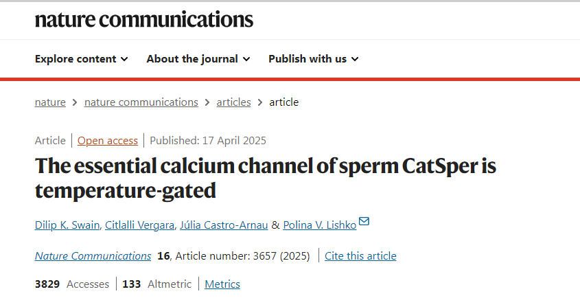 پستانداران برای خنک نگه داشتن اسپرم تکامل یافته‌اند