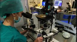 توجه به صنعت درمان ناباروری: " باروری بدون مرز"