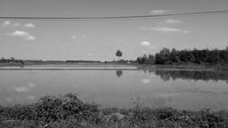 بگذار من به خانه ات بیایم