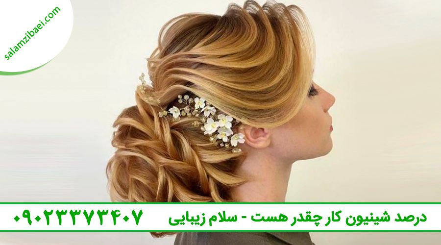 درصد شینیون کار چقدر هست - سلام زیبایی