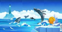 نهنگ‌ها به بازار هجوم آوردند؛ خرید ۶۰،۰۰۰ بیت کوین تنها در یک روز!