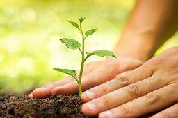 گام نخست در معماری نرم افزار