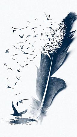 تعلقی سوخته!