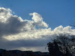 وقتی نگاه کردن کافی‌ست