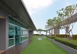 روف گاردن چیست؟ نحوه اجرای باغ بام برای طراوت بیشتر